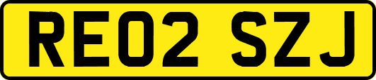 RE02SZJ
