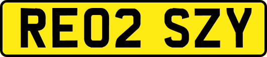 RE02SZY