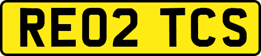 RE02TCS