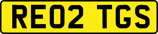 RE02TGS