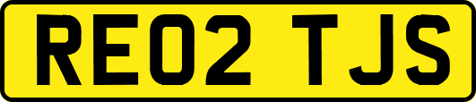 RE02TJS