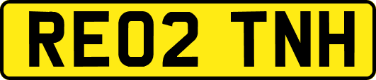 RE02TNH