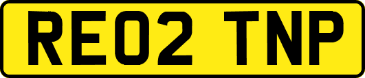 RE02TNP