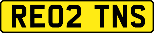 RE02TNS