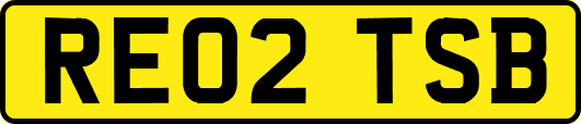RE02TSB