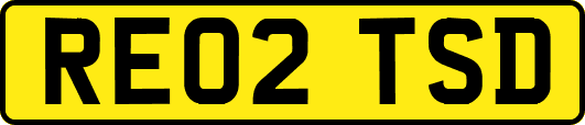 RE02TSD