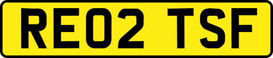 RE02TSF