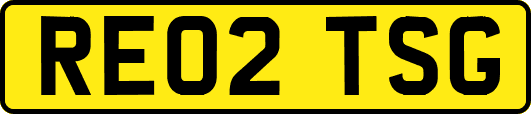 RE02TSG