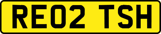 RE02TSH