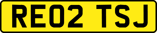 RE02TSJ