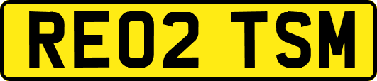 RE02TSM