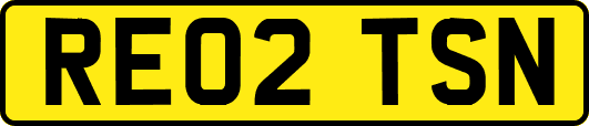 RE02TSN