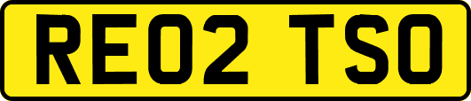 RE02TSO