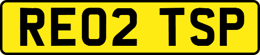 RE02TSP