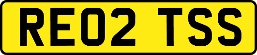 RE02TSS