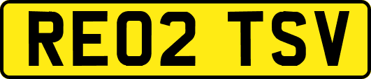 RE02TSV