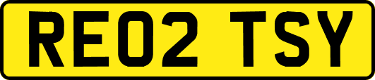 RE02TSY