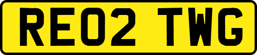 RE02TWG