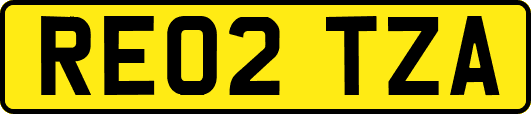 RE02TZA