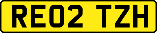 RE02TZH