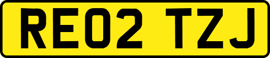RE02TZJ