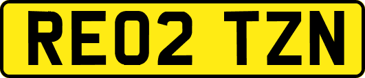 RE02TZN