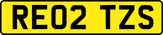RE02TZS