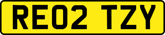 RE02TZY