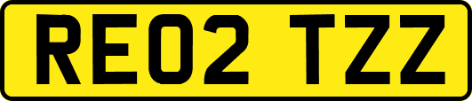 RE02TZZ