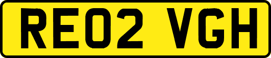 RE02VGH