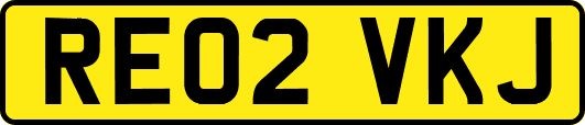 RE02VKJ