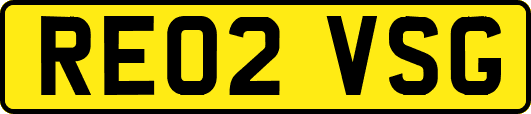 RE02VSG