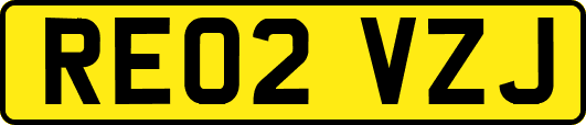 RE02VZJ