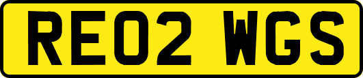 RE02WGS