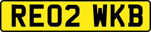 RE02WKB
