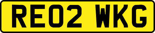 RE02WKG