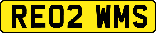 RE02WMS