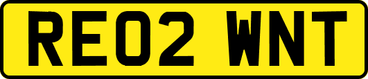 RE02WNT