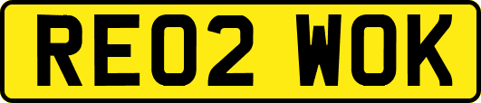RE02WOK