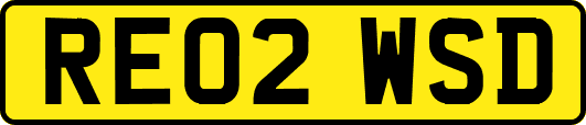 RE02WSD