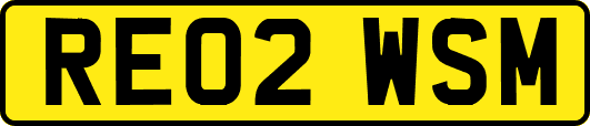 RE02WSM