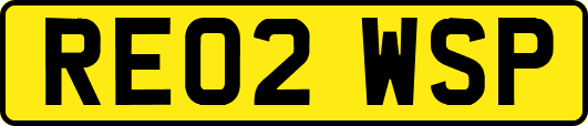 RE02WSP
