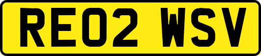 RE02WSV