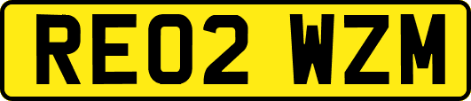 RE02WZM