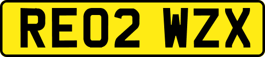 RE02WZX