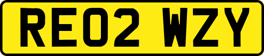 RE02WZY