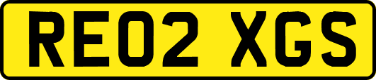 RE02XGS