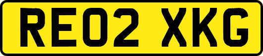 RE02XKG
