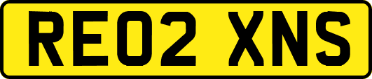 RE02XNS