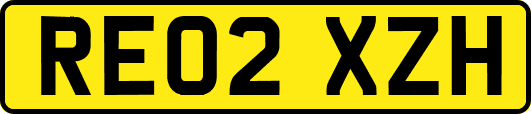 RE02XZH